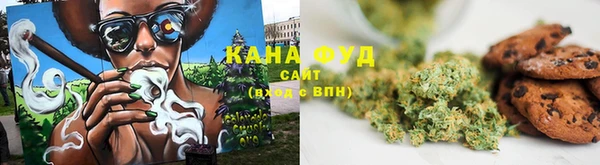 шишки Абаза