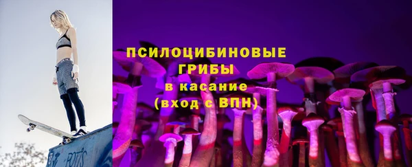 шишки Абаза