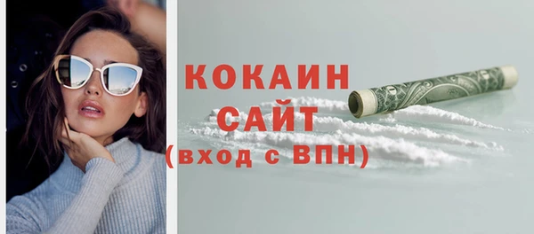 шишки Абаза