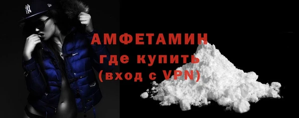 шишки Абаза