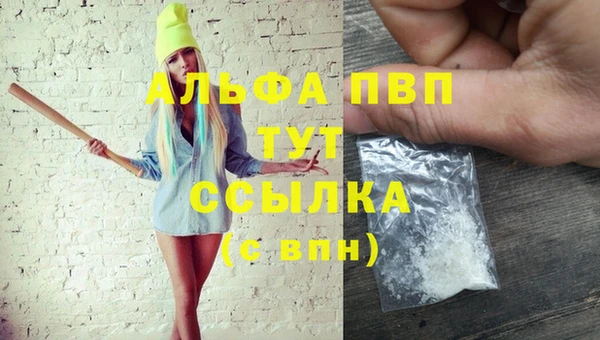 шишки Абаза