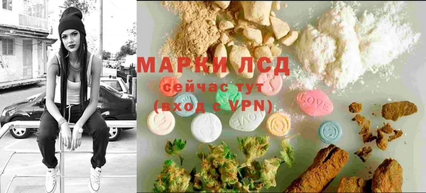 шишки Абаза