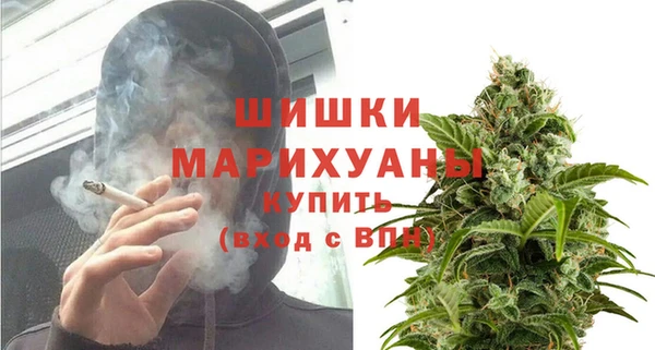 шишки Абаза