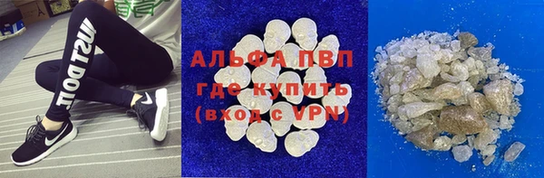 шишки Абаза