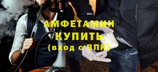 шишки Абаза