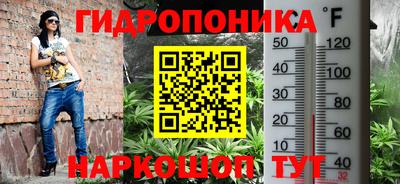 гашик Ливны