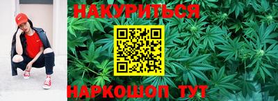 гашик Ливны