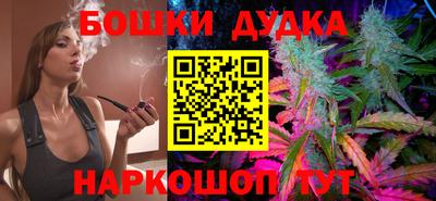 стафф Лесосибирск