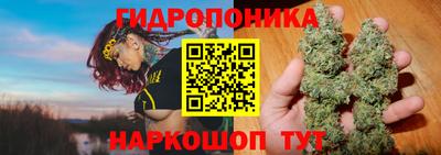 стафф Лесосибирск