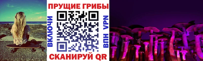 Галлюциногенные грибы мицелий  закладки  Дербент 