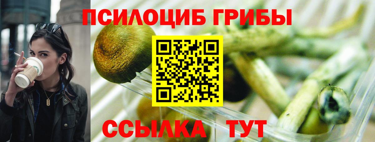 Псилоцибиновые грибы Magic Shrooms  Псилоцибиновые грибы Magic Shrooms  Дербент  Вход с VPN 